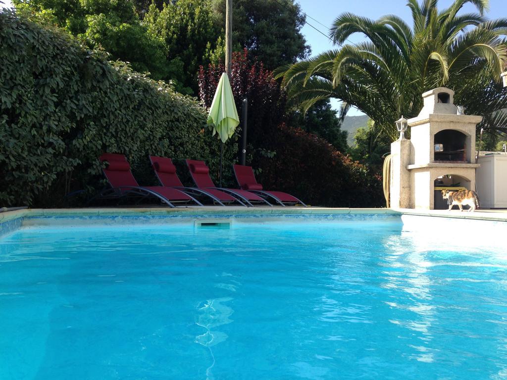 Veronique Bed and Breakfast Appietto Camera foto